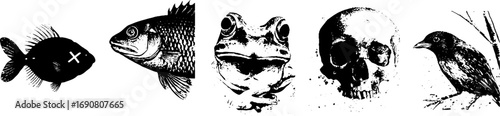 Grunge black and white illustration set featuring fish, frog, skull, and bird for artistic design