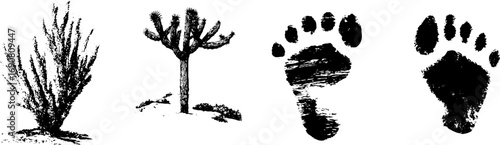 Grunge black and white illustration set of dried plants and footprints for artistic design