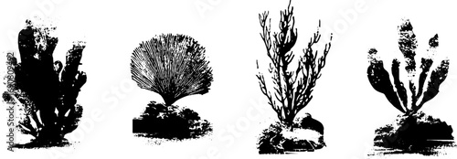 Grunge black and white botanical illustration set for artistic design