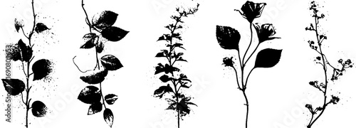 Grunge black and white floral silhouette set for design and decoration