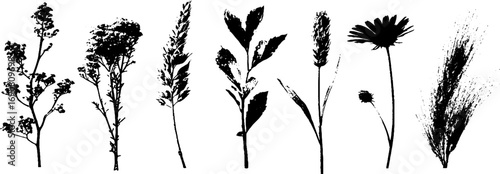 Black and white grunge floral silhouettes set for design and decoration