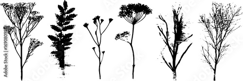 Grunge black and white botanical silhouette set for creative design projects