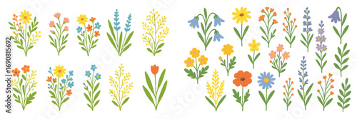 Big set of colorful spring and summer wildflowers including daisy, tulip, and bluebell arranged in simple bouquets and isolated on a white background