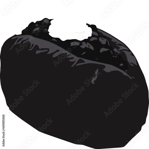 Black Bean Bag with White Filling