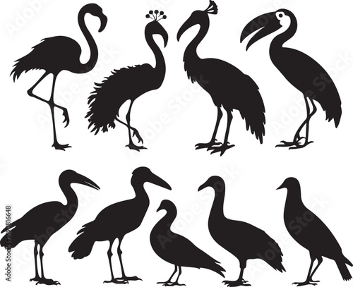 Water Bird Silhouettes Collection Featuring Flamingo Stork Pelican Crane Goose vector