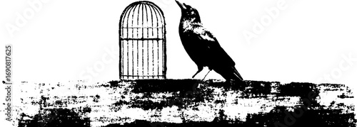 Gothic grunge black and white raven with cage for urban design
