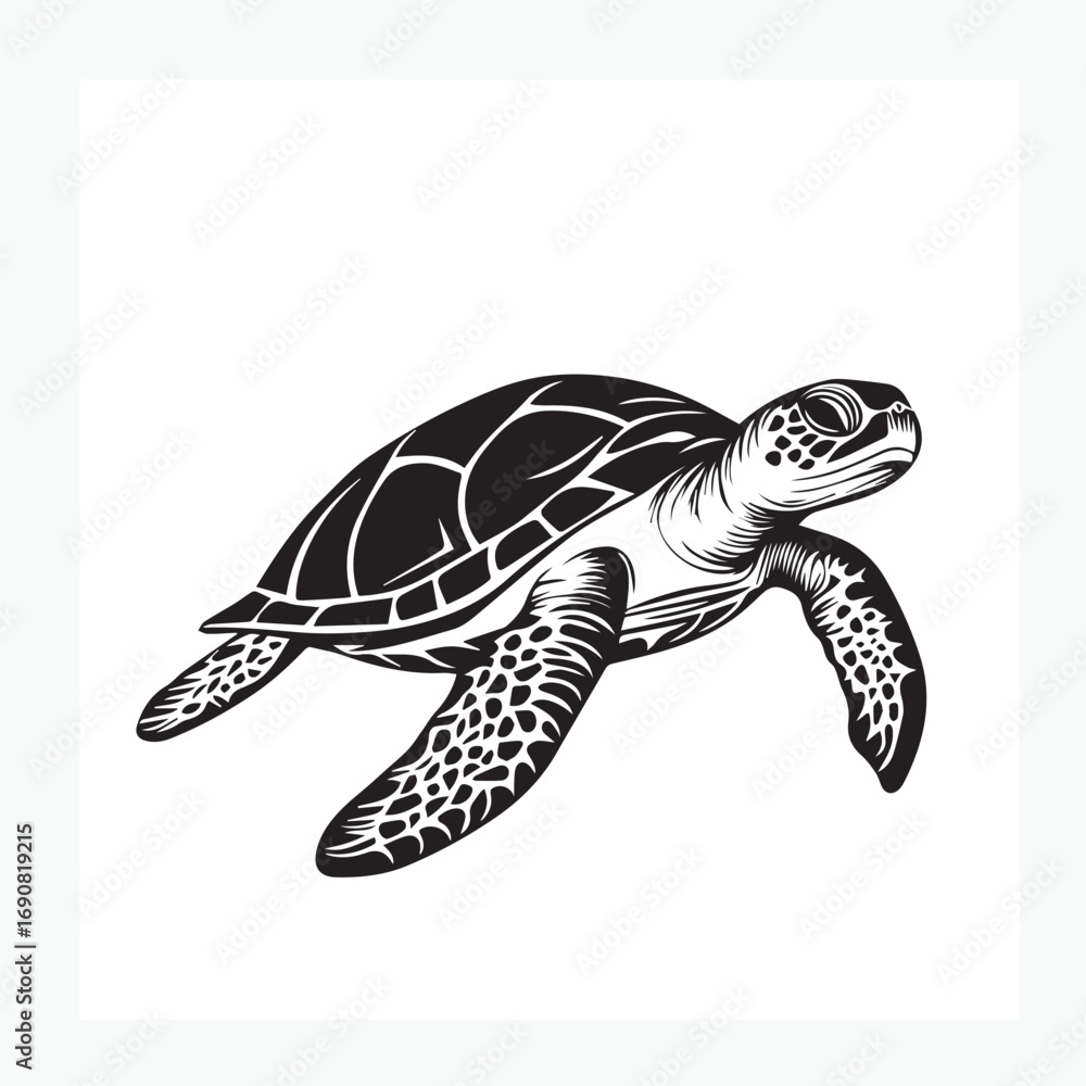 Fototapeta premium sea turtle vector illustration