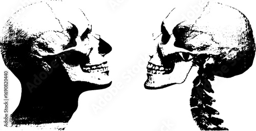 Grunge black and white illustration of half skulls side view - vintage ink design for urban projects
