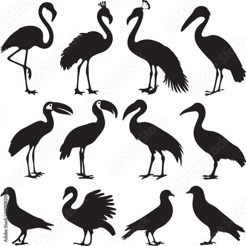 Assortment of Bird Silhouettes with Various Poses and Species flamingo toucan
