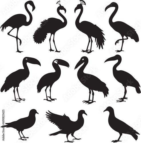 Assorted Bird Silhouettes Including Flamingos and Toucans ibis