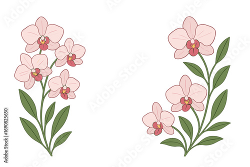 Pink Phalaenopsis orchid flowers with green leaves on a white background forming a decorative floral frame or border
