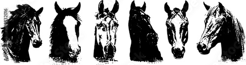 Grunge black and white horse illustrations set for art and design projects