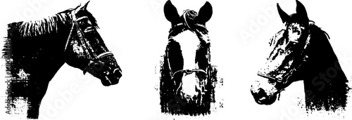 Grunge black and white horse silhouette set for vintage design and decor