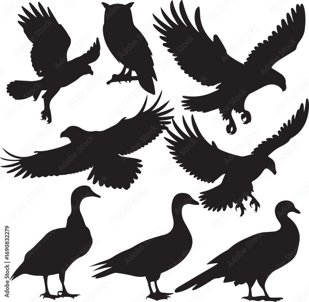 Obraz premium Collection of black bird and goose silhouettes in various poses eagle hawk