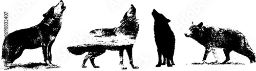 Black and white grunge illustrations of howling wolves for designs and posters