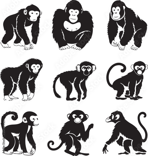 Nine black monkey and ape silhouettes on white background Keywords: monkey, ape, chimpanzee