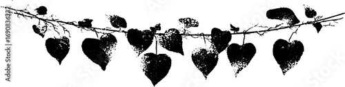 Grunge black and white ivy leaf silhouette design for urban decor and artwork