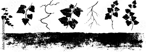 Grunge black and white ivy set design for urban art and vintage decor