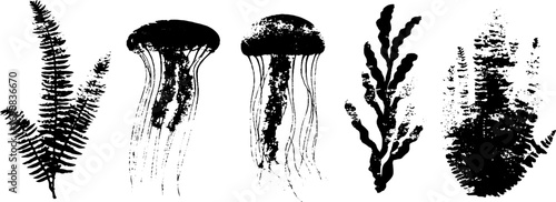 Grunge black and white jellyfish and fern silhouette set for urban artistic design