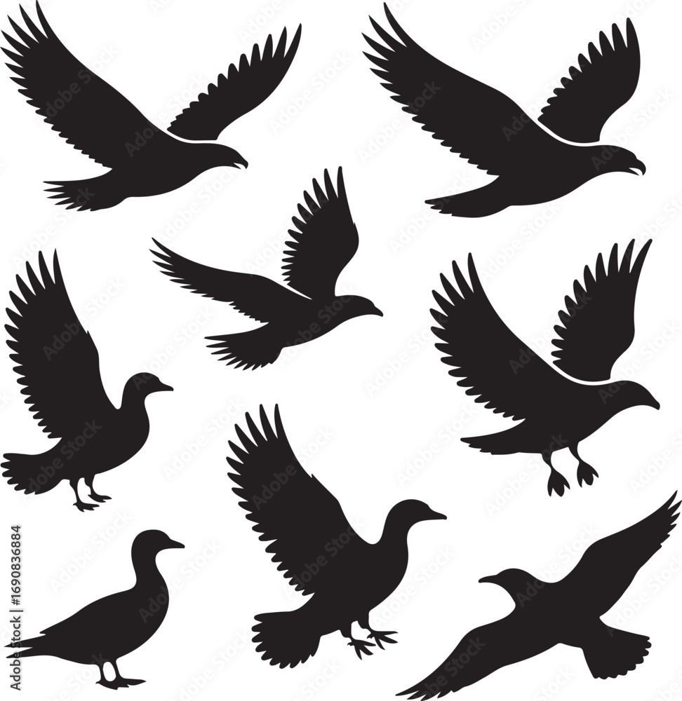 Fototapeta premium Collection of flying bird silhouettes on white background Keywords: eagle, bird, flying, silhouette