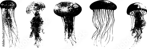 Black and white grunge jellyfish illustrations for creative design projects