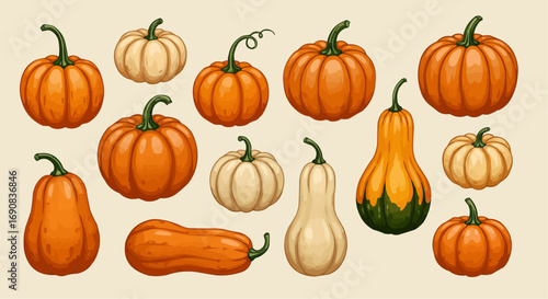 Autumn Harvest Pumpkins and Gourds Vector Set