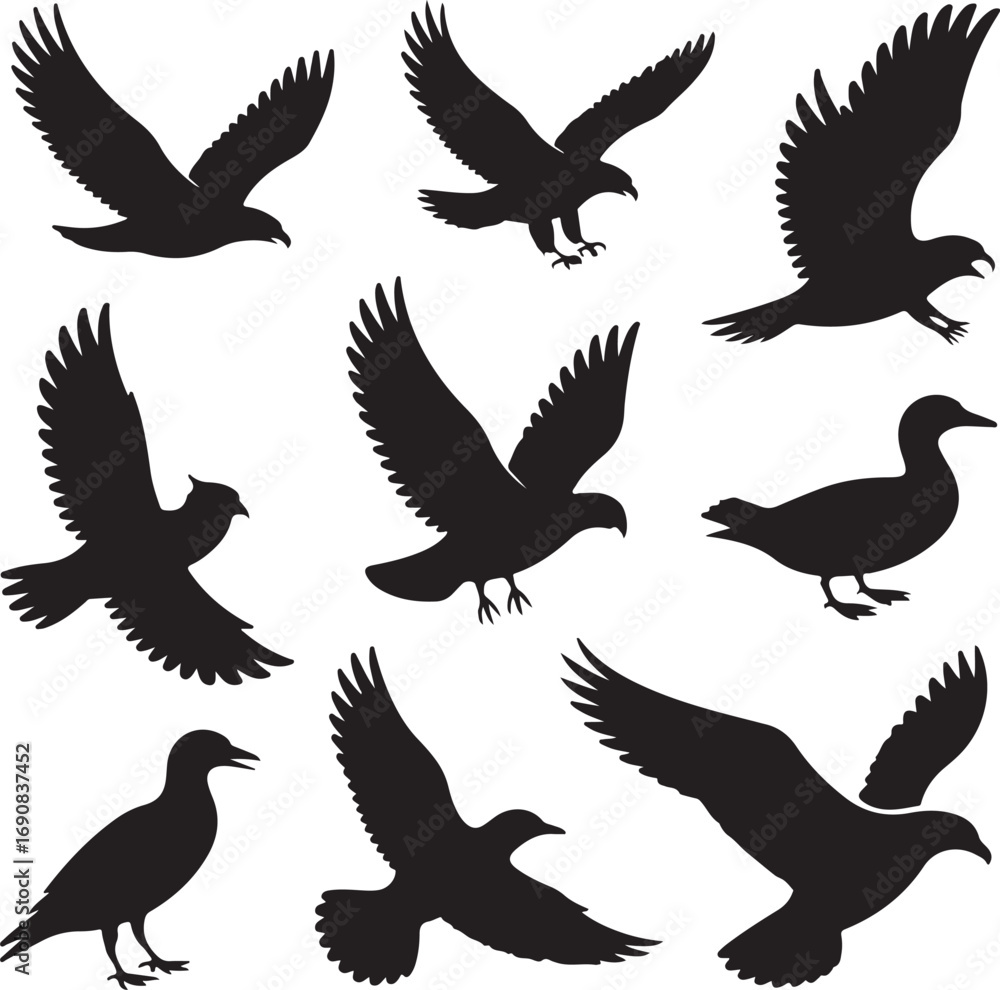 Fototapeta premium Assorted flying bird silhouettes in various poses on white background Keywords: eagle, bird, flying