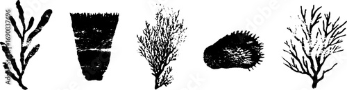 Black and white grunge kelp illustration set for ocean-themed designs