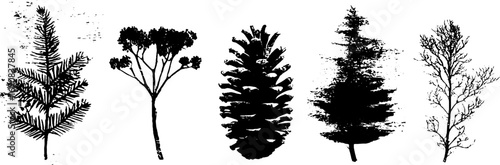 Black and white grunge botanical illustrations set featuring juniper and evergreen elements