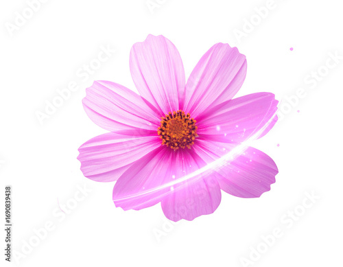  Surreal Floating A Vibrant Pink Flower with Glowing Petals – Fantasy PNG