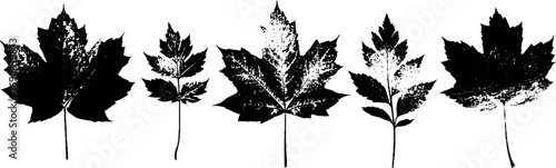 Grunge black and white leaf silhouette set for urban design projects