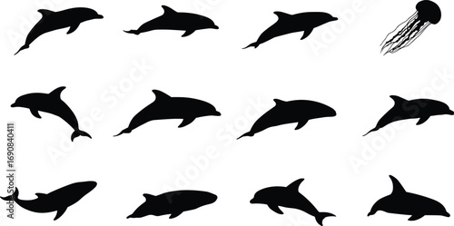 Marine animal silhouettes, dolphins, jellyfish, ocean wildlife, sea creatures, aquatic life, underwater animals, swimming mammals, marine biology, ocean nature icons