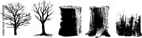 Grunge black and white leafless tree and tree stump illustration set for urban design