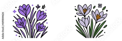 Set of two stylized crocus flower compositions with thick outlines in purple and lavender colors, isolated on a white background for spring floral design elements