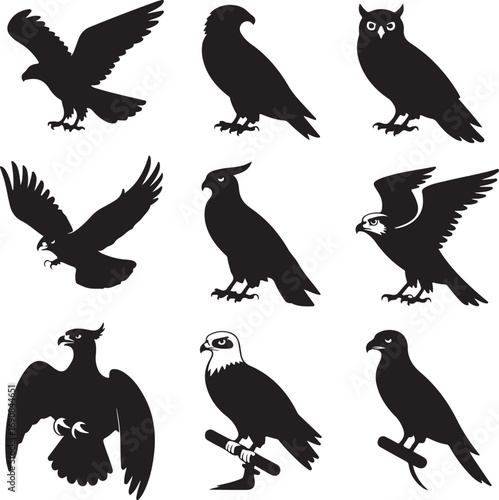 Collection of bird of prey silhouettes on white background Keywords: eagle, hawk, falcon, owl, bird
