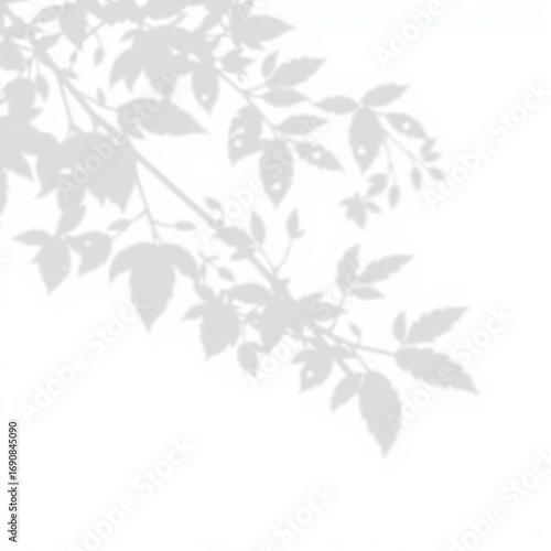 shadow overlay effect. Gray shadow of leaves isolated on white background. Plant foliage leaf shadow light effect. Mockup Blurred tree branch shadow. Ideal for summer spring design elements PNG