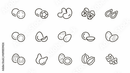 Line art illustration showcasing various types of nuts and seeds in a simple and clean design style