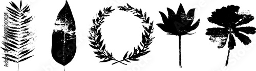 Grunge black and white olive and leaf set for design and decoration