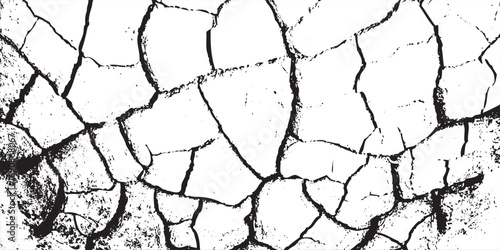 Cracked Earth Texture: White Surface with Dark Fissures and Irregular Shapes.