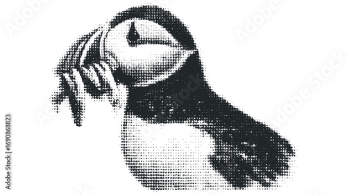 Halftone Puffinus Puffinus Bird Image on Transparent Background. Vector hand drawn illustration
