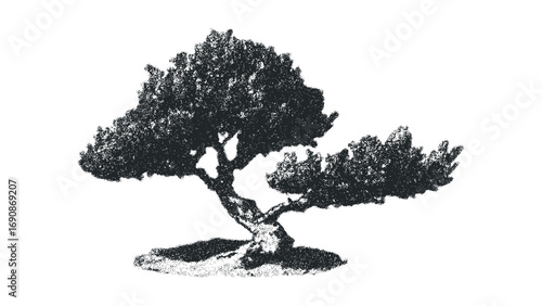 Stippled bonsai tree with transparent background. Vector hand drawn illustration