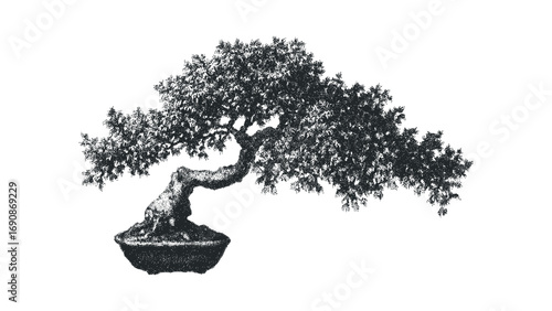 Black and white stippled bonsai tree in a pot on transparent background. Vector hand drawn illustration