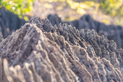 old stone, Tsingy, Madagascar