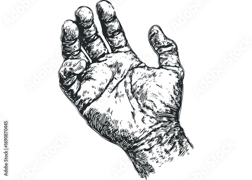 Detailed sketch of an open human hand held up, file. Vector hand drawn illustration