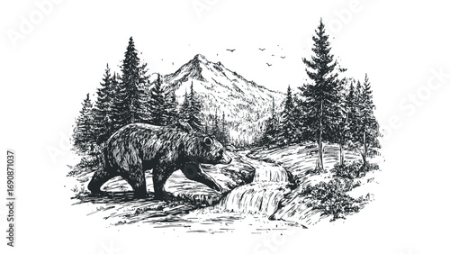 Black bear walks near a waterfall and pine forest with mountain vista. Vector hand drawn illustration