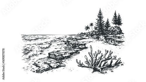 Hand drawn coastal landscape with ocean waves and rocky shore. Vector hand drawn illustration