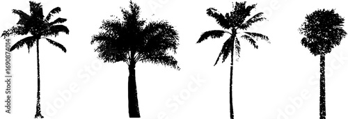 Grunge black and white palm tree silhouette set for design and decoration
