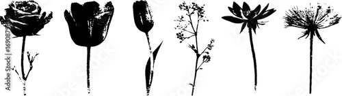 Grunge black and white floral illustration set for artistic design and decoration