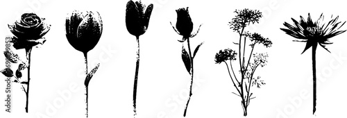 Grunge black and white floral silhouette set for artistic designs