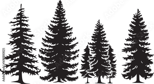 Tree Silhouette Vector Bundle